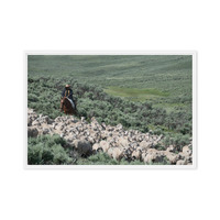 Sheep herder in Kemmerer, Wyoming - Thumbnail 38