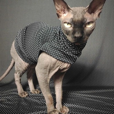 Polka hauntis - sleepwear - Thumbnail 4