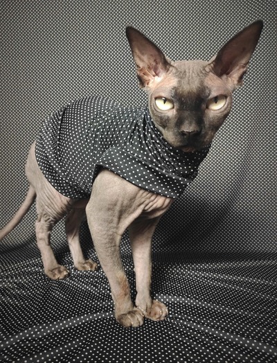 Polka Hauntis - Sleepwear