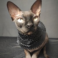 Polka Hauntis - Sleepwear - Thumbnail 2