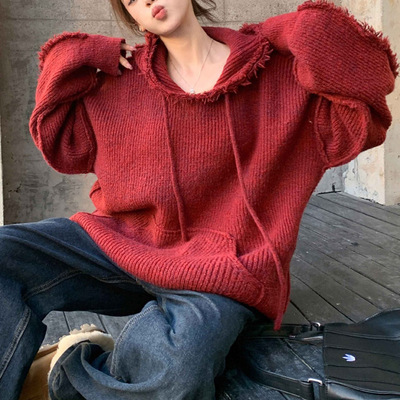 Tassel hooded soft waxy sweater