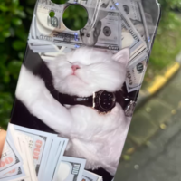 RICH CAT IPHONE CASE - Thumbnail 1