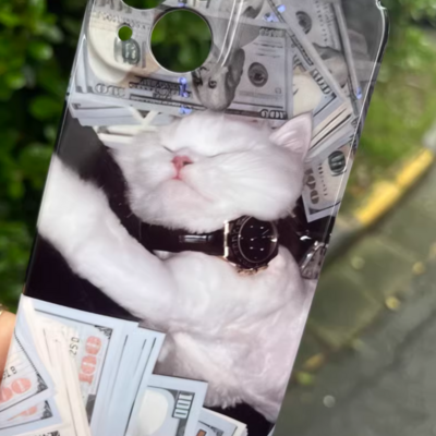 Rich cat iphone case