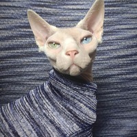 Summer Breeze - Thumbnail 1