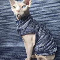 Summer Breeze - Thumbnail 2