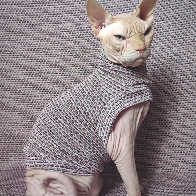 Another brick in the wall