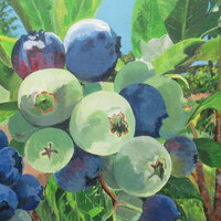 "Blueberries" Acrylic painting on 11 x 14 inch stretched canvas, Original artwork by N.E.Thompson - Thumbnail 4