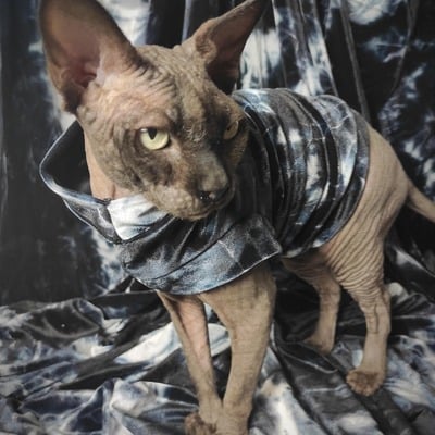 Monochromatic dye - velvet