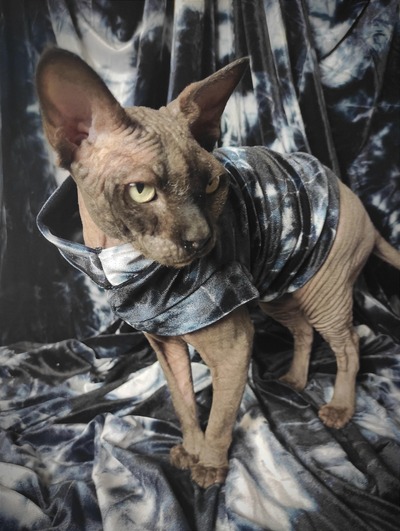 Monochromatic Dye - Velvet