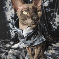 Monochromatic Dye - Velvet - Thumbnail 2