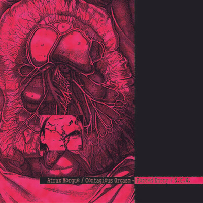 Atrax morgue & contagious orgasm 'forced entry/n.c.w.' cd - Thumbnail 2