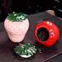 Strawberry Tea Storage Can-1