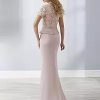 Champagne Mother Of The Bride / Groom Dresses Wedding Guest Gowns Sweep Train Mermaid Ruffles Lace Illusion High Neck Long Evening Dress - Thumbnail 1