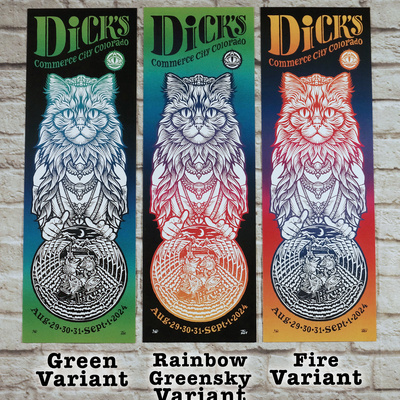 2024 phish at dick's (lot limited edition print)