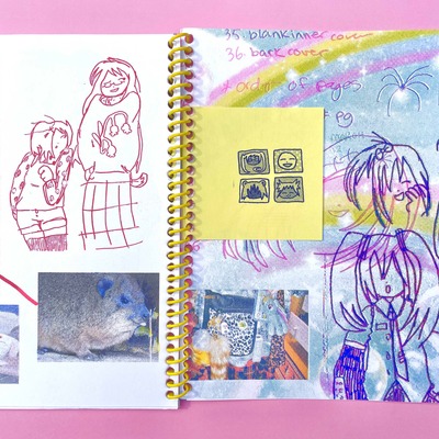 Spider in your hair artbook zine