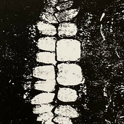 The vomit arsonist "everything has died and i have given up"