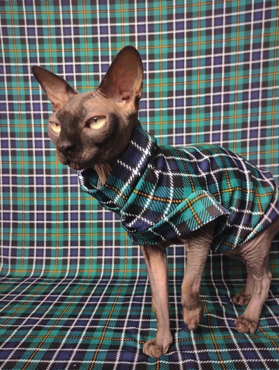 Scottish Plaid