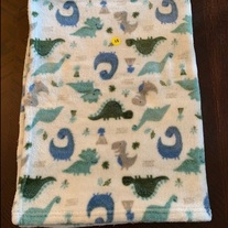 Baby Boy's Soft Blankets - All 7 Blankets Are Included