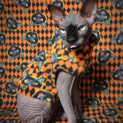 Black cat revenge - luxe fleece