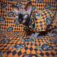Black Cat Revenge - Luxe Fleece - Thumbnail 1