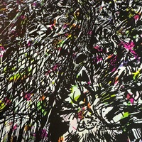 THE SPECTRAL WAGON   - Thumbnail 1