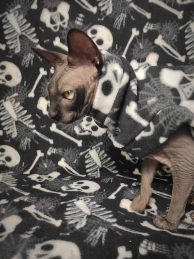 Cat-a-combs - Fleece