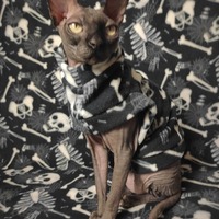 Cat-a-combs - Fleece - Thumbnail 1