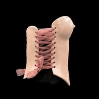 Iridescent pink wearable ceramic corset by: Nicole Moan  - Thumbnail 6