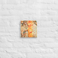 Canvas - Sweet Bitter - Thumbnail 1