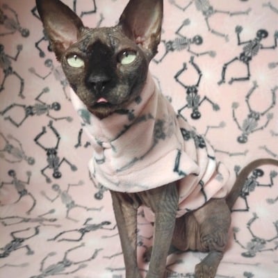 Cobwebs & skeletons - luxe fleece