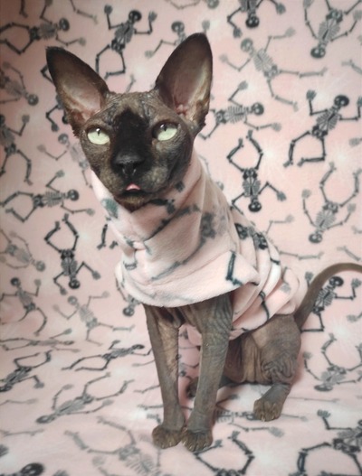 Cobwebs & Skeletons - Luxe Fleece