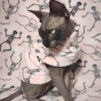 Cobwebs & Skeletons - Luxe Fleece - Thumbnail 2