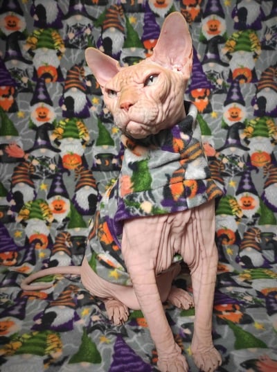 Gnomoween - Luxe Fleece