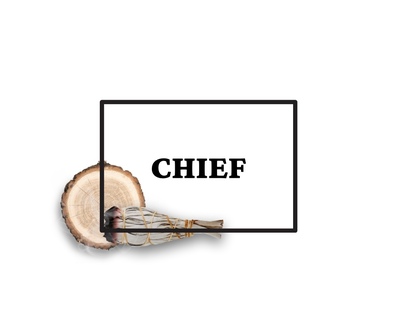  Chief Conditioning Shampoo