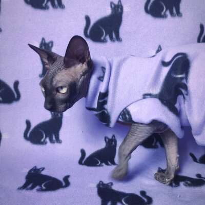 Black cats rising  - lightweight fleece - Thumbnail 3