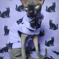 Black Cats Rising  - Lightweight Fleece - Thumbnail 1