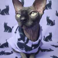 Black Cats Rising  - Lightweight Fleece - Thumbnail 2