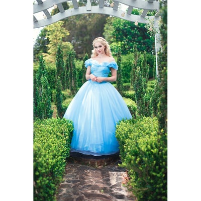 Cinderella print