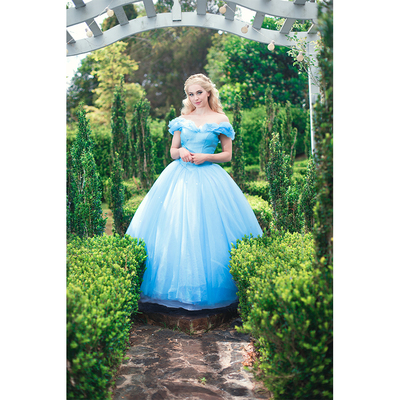 Cinderella Print