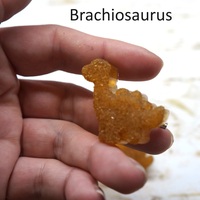 Dino Nuggie Pin Set - Thumbnail 4