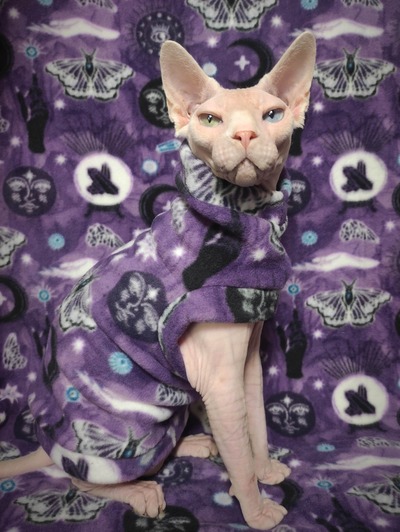 Celestial Intuition - Luxe Fleece