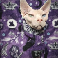 Celestial Intuition - Luxe Fleece - Thumbnail 2