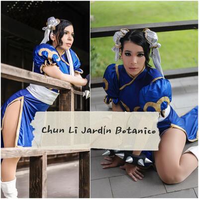 Chun li jardin botanico digital content set