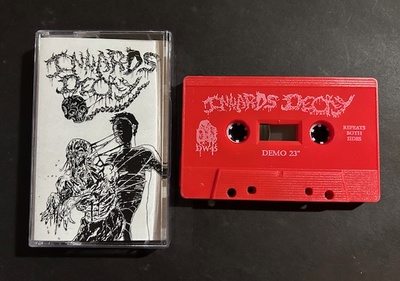INNARDS DECAY - Demo '23