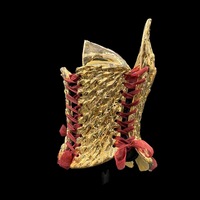 Gold Dragon wearable ceramic corset by: Nicole Moan - Thumbnail 3
