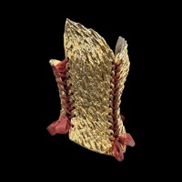 Gold Dragon wearable ceramic corset by: Nicole Moan - Thumbnail 1