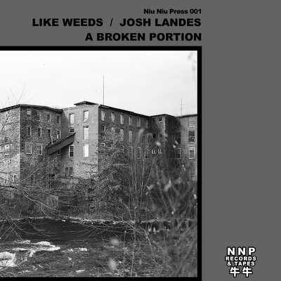 Like Weeds & Josh Landes 'A Broken Portion' 12"