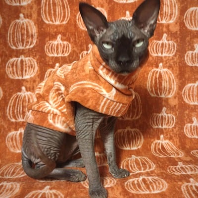 Pumpkins! - luxe fleece