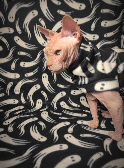 Don't Ghost Me! - Fleece