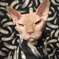 Don't Ghost Me! - Fleece - Thumbnail 1